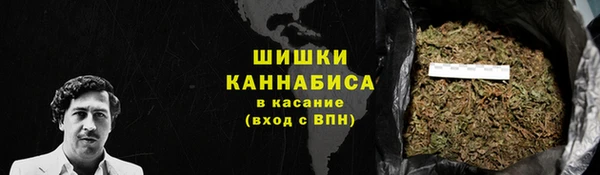 прущие грибы Горнозаводск