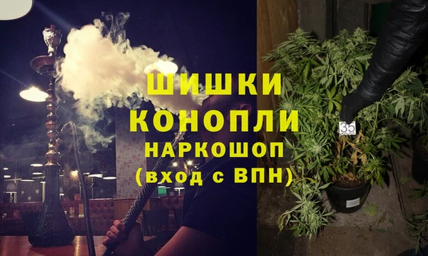 прущие грибы Горнозаводск