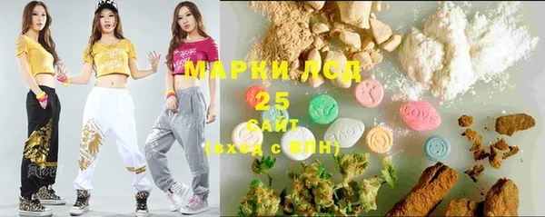 прущие грибы Горнозаводск