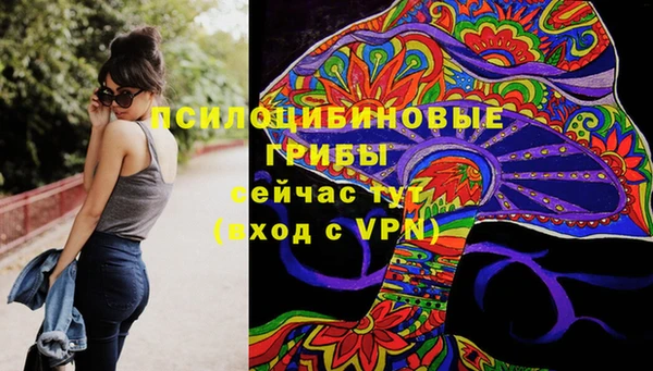 героин Горняк
